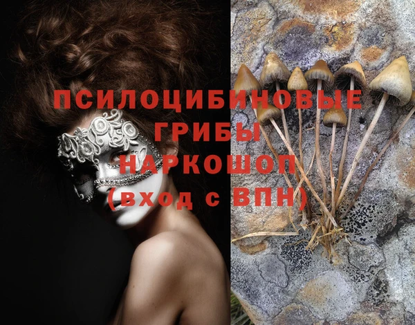 прущая мука Иннополис