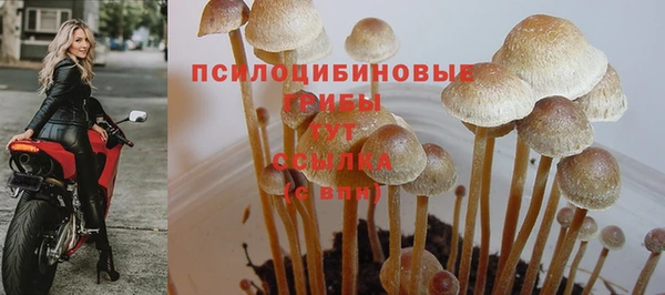 прущая мука Иннополис
