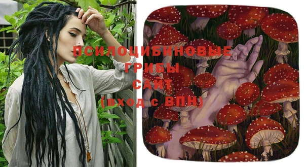 прущая мука Иннополис