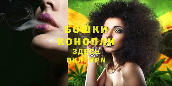 каннабис Инта
