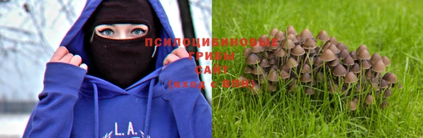 прущая мука Иннополис