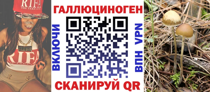 mega зеркало  Находка  Псилоцибиновые грибы Psilocybine cubensis  купить наркотик 